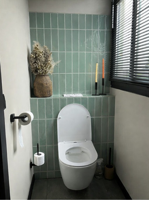 Toilet tegels1