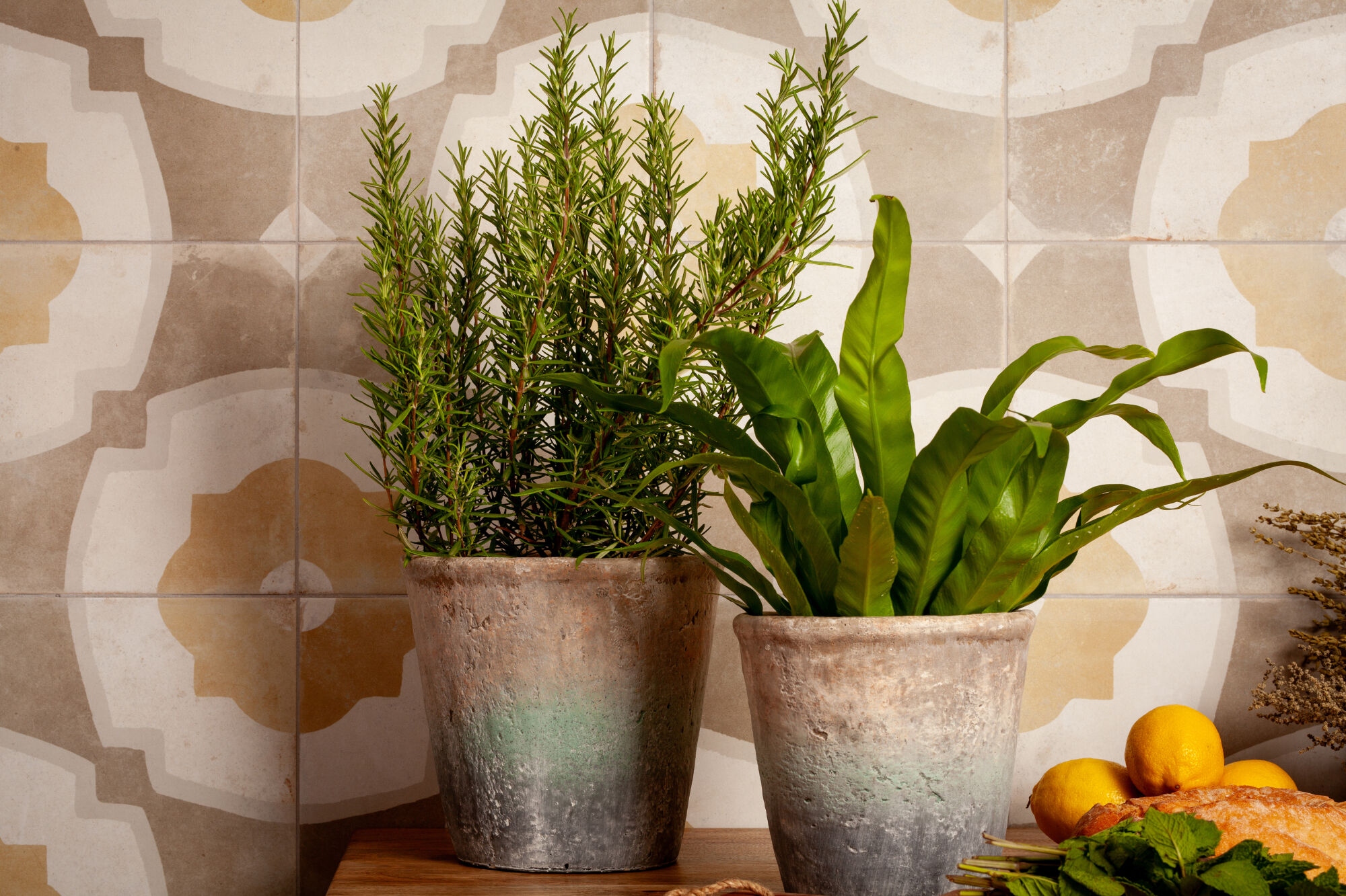 Peronda Farfalla Mustard