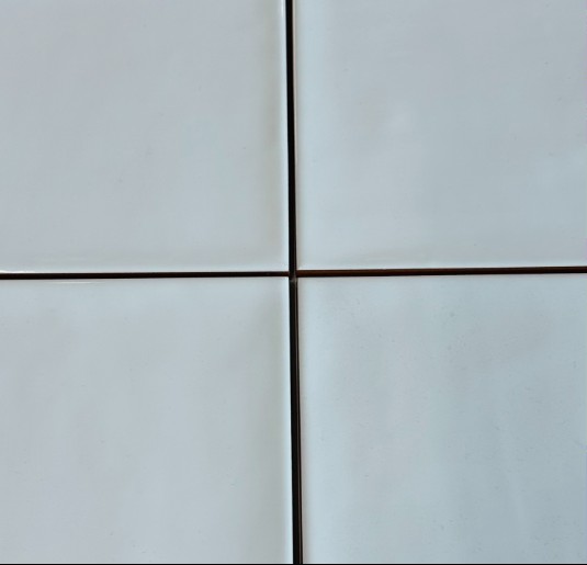 Vives etnia blanco