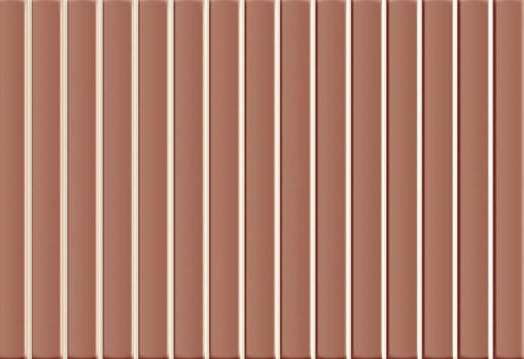 vives kaimu coral